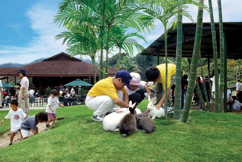 From Kuala Lumpur: Colmar Tropicale and Batu Caves Day Trip - Starting from Kuala Lumpur’s Golden Triangle