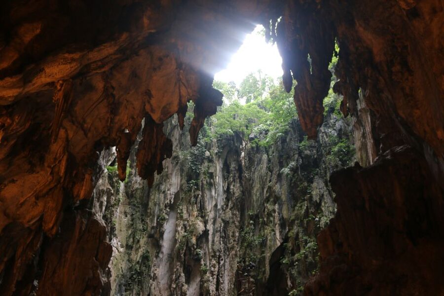 From Kuala Lumpur: Private Batu Caves Cultural Tour - The guides shape the day