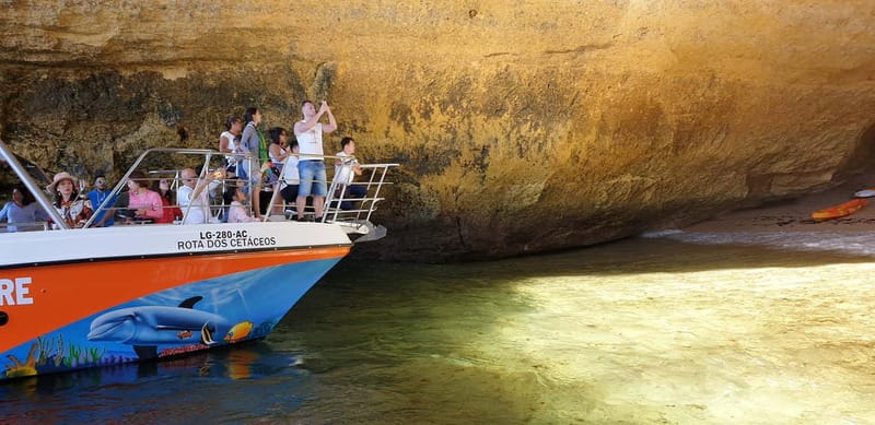 From Lagos: Benagil Caves Catamaran Cruise - Key points