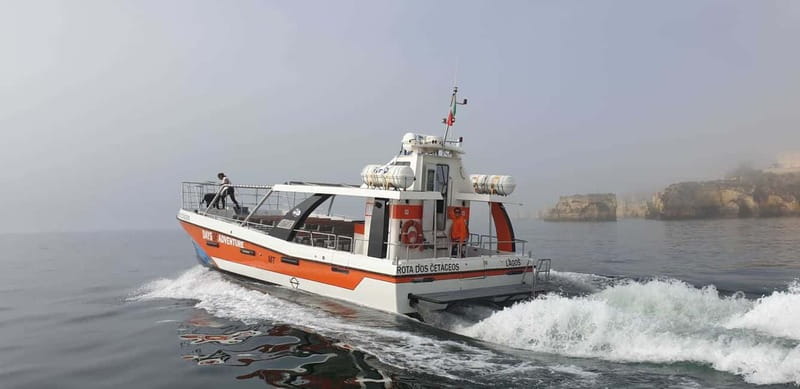 From Lagos: Benagil Caves Catamaran Cruise - Timing, meeting point, and practical value