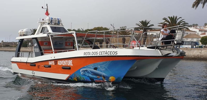 From Lagos: Benagil Caves Catamaran Cruise - How weather changes the experience