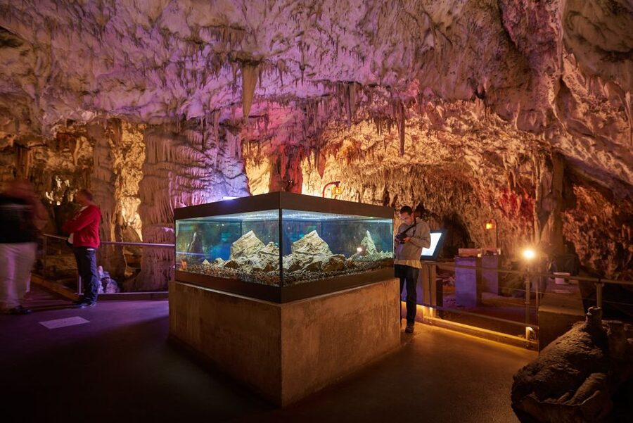 From Ljubljana: Lake Bled & Postojna Cave with Entry Tickets - Predjama Castle, a cliff-side story in one hour