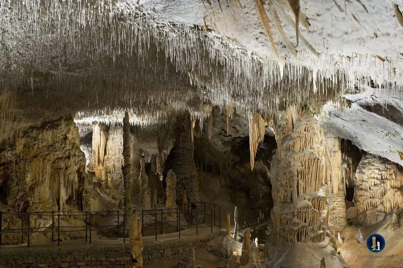 From Ljubljana: Postojna Cave, Predjama Castle, & Piran Tour - Key points to know before booking