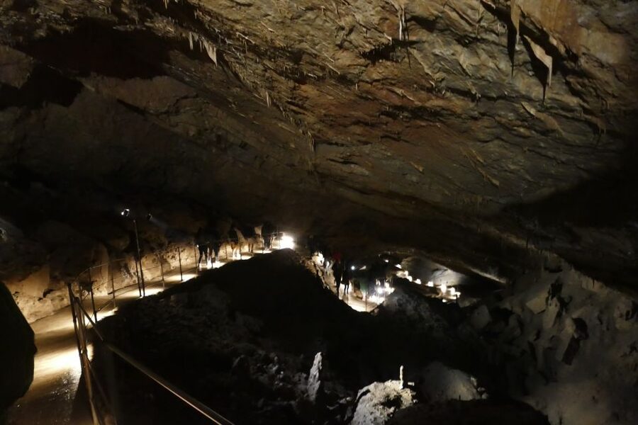 From Ljubljana: Skočjan Caves Half-Day Trip - What the guide adds to the half-day trip
