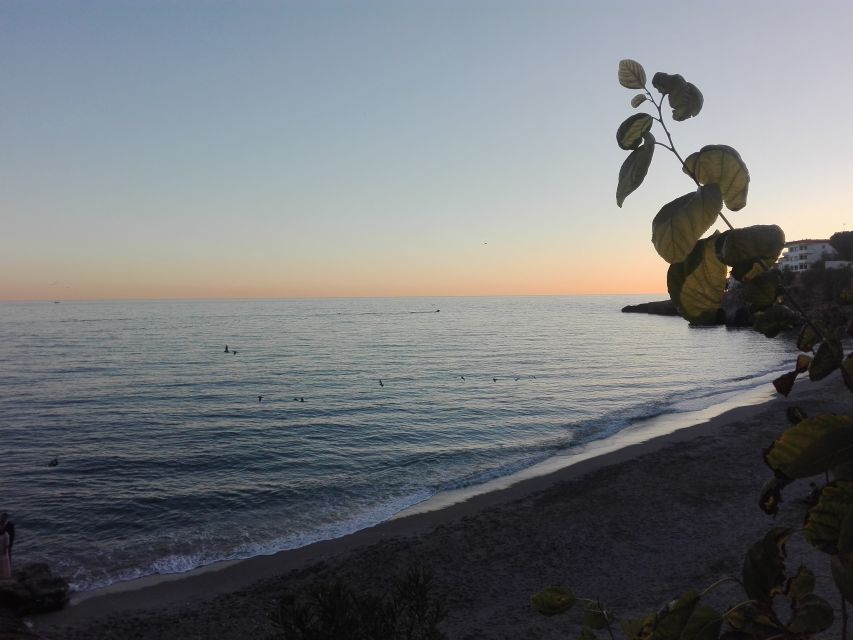 From Málaga: Skip-the-Line Nerja Cave and Frigiliana - Is $177 a fair price?