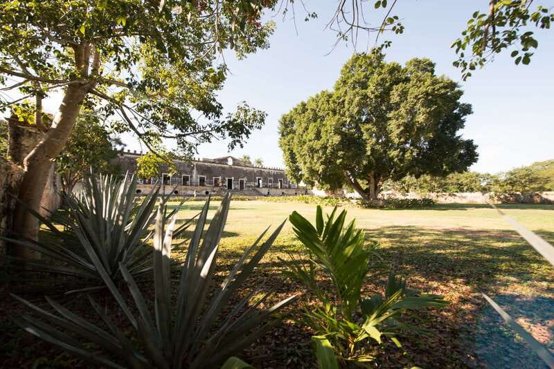 From Merida: Uxmal, Hacienda Yaxcopoil and Cenote with Lunch - Should you book this tour?