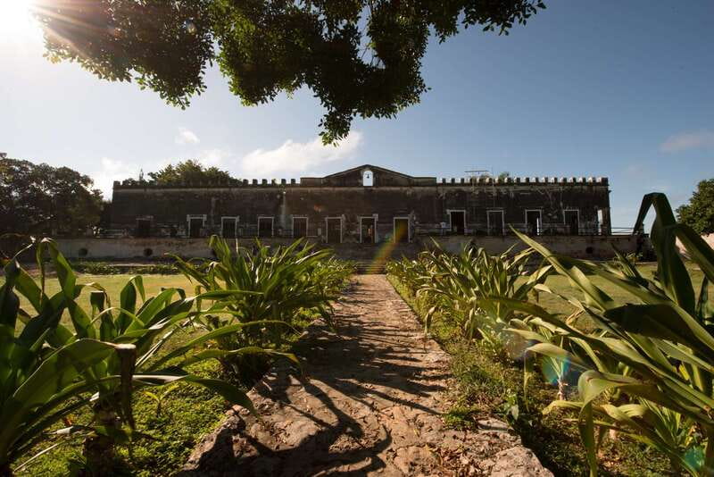 From Merida: Uxmal, Hacienda Yaxcopoil and Cenote with Lunch - Uxmal’s architecture deserves your full attention