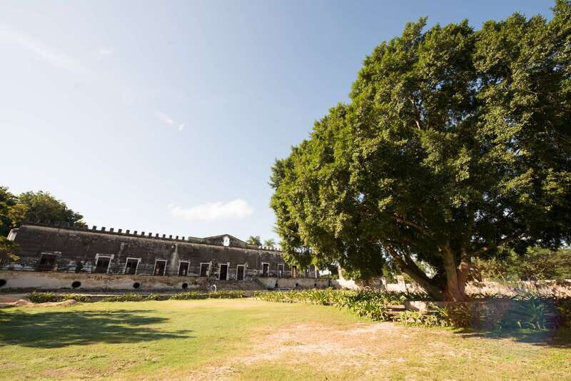 From Merida: Uxmal, Hacienda Yaxcopoil and Cenote with Lunch - Transport, timing, and small points that matter