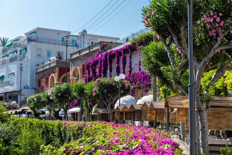 From Naples: Capri, Anacapri, and Blue Grotto Full-Day Trip - How the guide affects the day