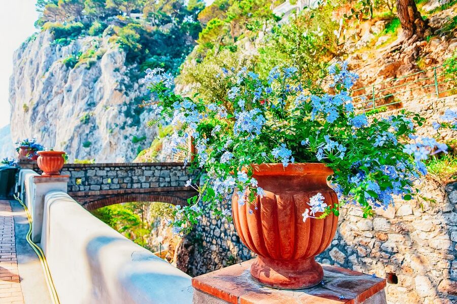 From Naples: Capri and Blue Grotto Day Tour - The Blue Grotto: spectacular, but never guaranteed