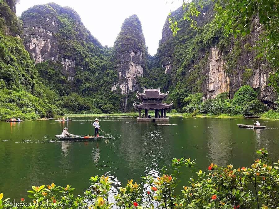 From Ninh Binh : Bai Dinh, Hoa Lu, Trang An, Mua Cave Tour - Mua Cave and the 500-step climb