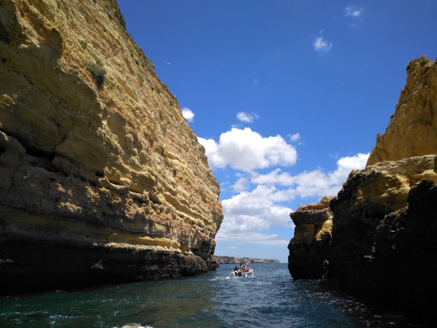 From Portimão: Benagil Caves & Marinha Beach Boat Tour - What the $35 price includes