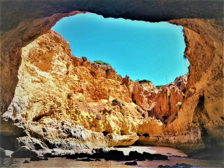 From Portimão: Private Boat Tour to Benagil Cave - Who will enjoy this boat trip most