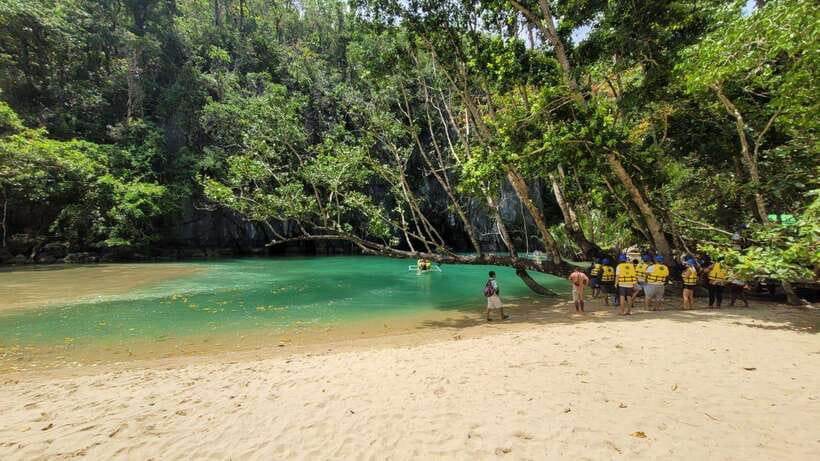 From Puerto Princesa: Underground River Guided Day Trip - Forest, wildlife, and the limestone setting