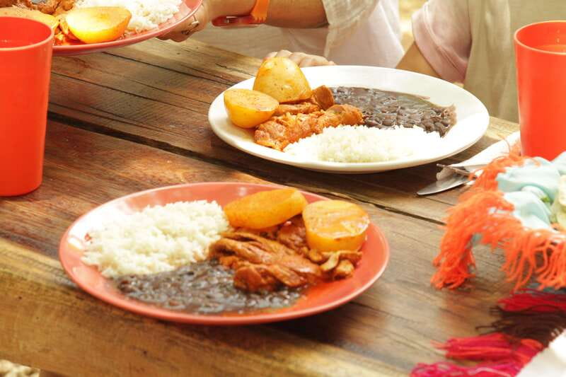 From Riviera Maya: Coba, Punta Laguna & Cenote Guided Trip - Who should book this Tulum day trip?