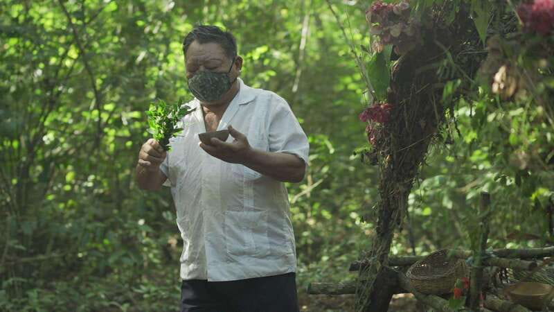 From Riviera Maya: Coba, Punta Laguna & Cenote Guided Trip - A Mayan family meal in Nuevo Durango