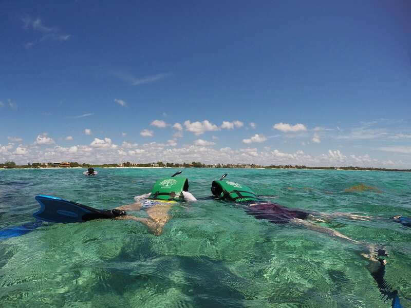From Riviera Maya: Snorkeling & Private Cenote Half-Day Tour - Who will enjoy this tour most