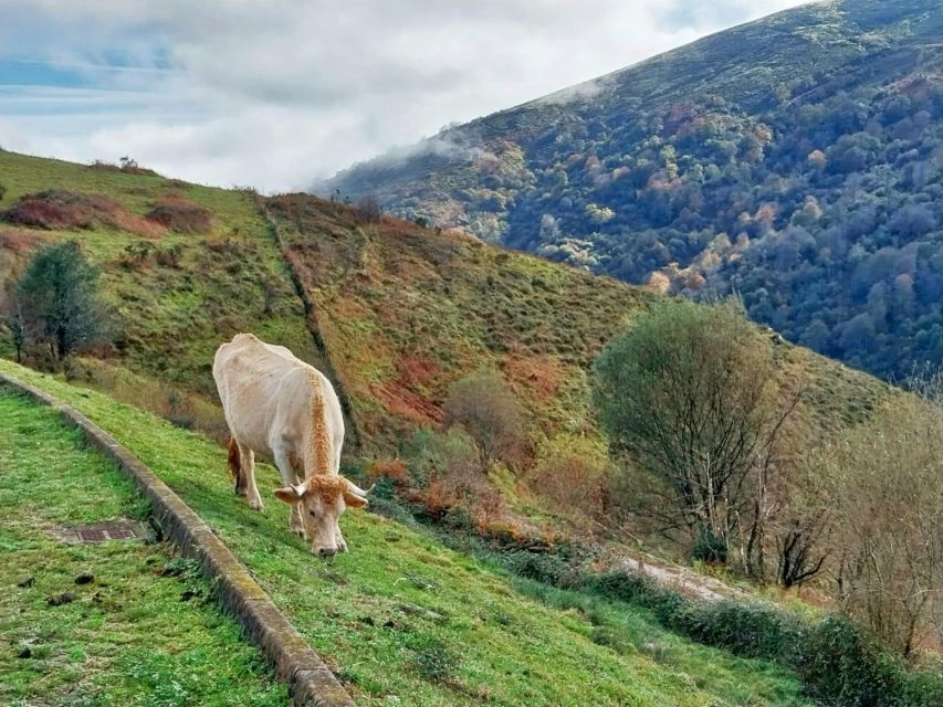From Santander or Torrelavega: Soplao Cave Excursion - The Tina Menor viewpoint near Pechón
