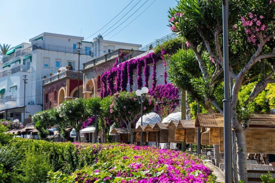 From Sorrento: Capri, Anacapri, & Blue Grotto Full-Day Trip - Should you book it?