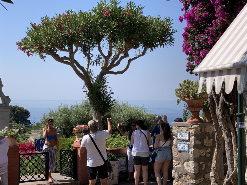 From Sorrento: Day Trip to Capri & Anacapri with Blue Grotto - Free time for gardens, lunch, or a swim