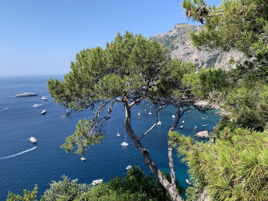 From Sorrento: Day Trip to Capri & Anacapri with Blue Grotto - The Blue Grotto: beautiful, brief, and weather dependent