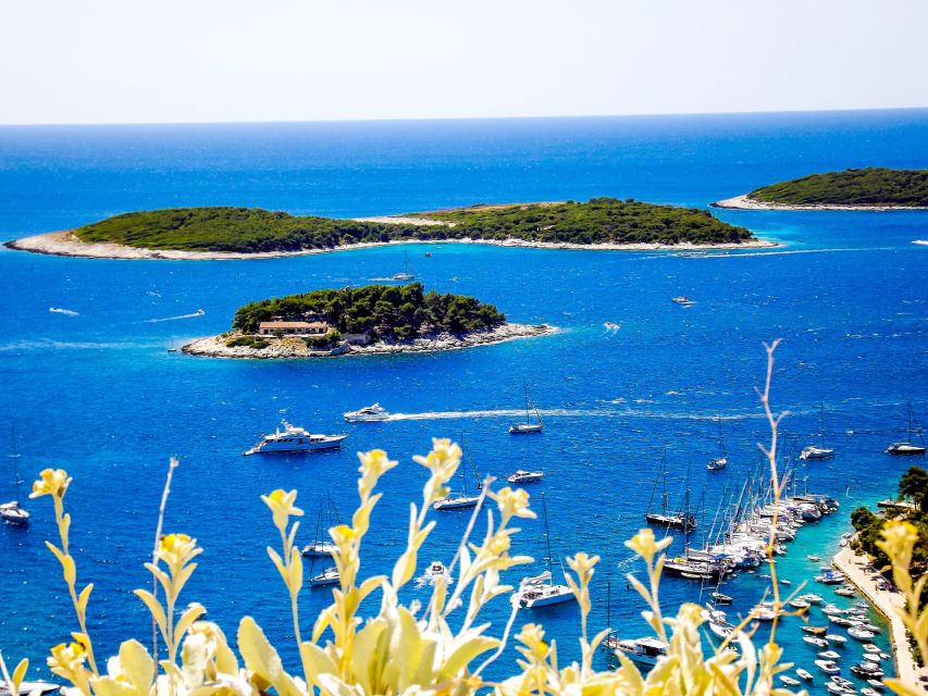 From Split: Blue Cave and Hvar Guided Tour by Luxury Boat - An hour at Budikovac Blue Lagoon