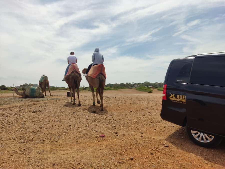 From Tangier: Cap Spartel and Hercules Cave with Camel Ride - Should you book Cap Spartel and Hercules Cave?
