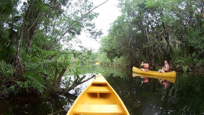 From Tulum: Four-Cenote Adventure - Is $204 a fair price?