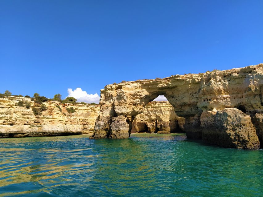 From Vilamoura: 2.5-Hour Benagil Cave and Dolphins Boat Tour - Who will enjoy this trip most?