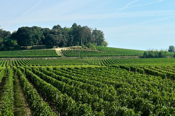 Full-day Saint-Emilion: Village, Undergrounds and Châteaux - The château lunch question