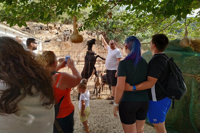 Full-Day Small-Group Tour in Crete with Zeus Cave Visit - A full day that shows Crete beyond the beach