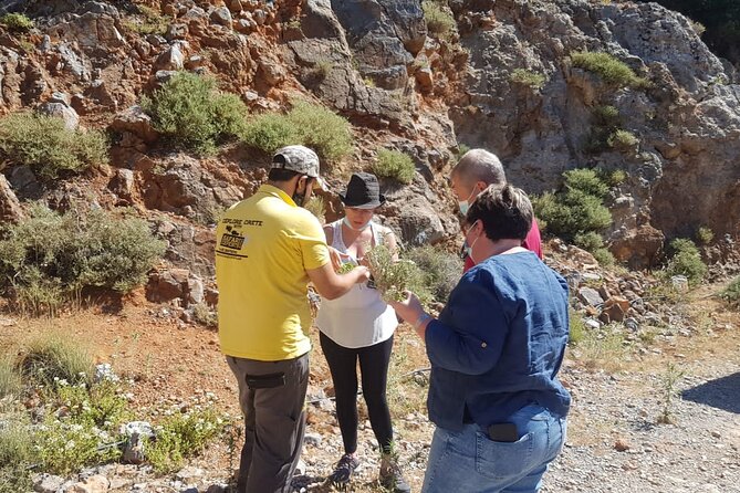 Full-Day Small-Group Tour in Crete with Zeus Cave Visit - Krasi and its 2,000-year-old plane tree