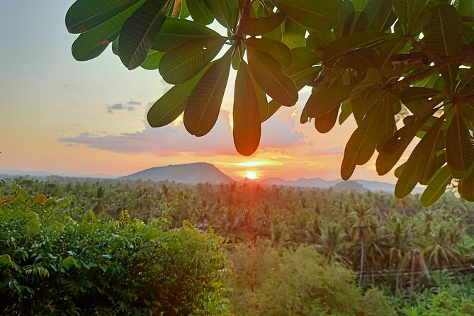 Full Day tour .City tour.Countryside.Bamboo Train.Secret Bat Cave - Battambang’s French-era center in one hour