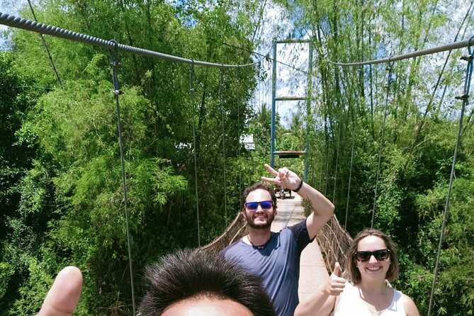 Full Day tour .City tour.Countryside.Bamboo Train.Secret Bat Cave - Rice fields in the late afternoon