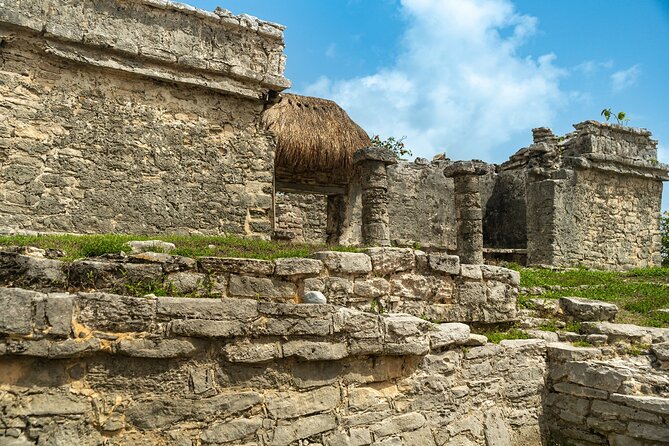 Full Day Tulum Ruins Tour Cenote and Swimming with Sea Turtles - Akumal Beach and the protected turtle encounter