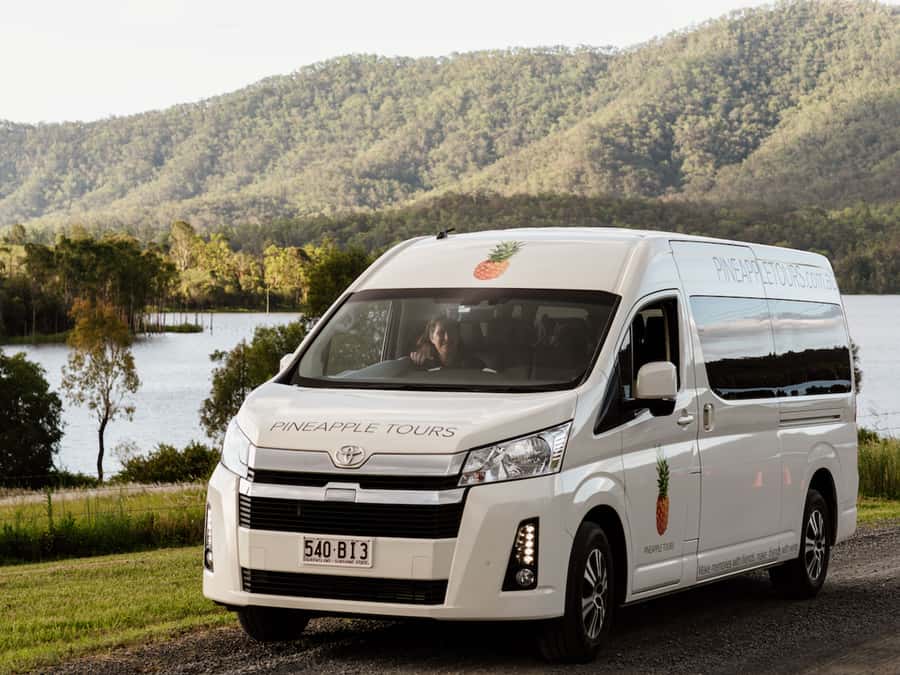 Gold Coast: Daytime Glow Worm Caves and Hop-on Hop-off Tour - A daytime look at Tamborine Mountain’s glow worms