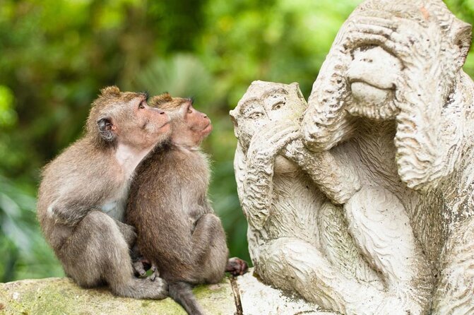 Gorilla Cave ATV Bali Ubud, Monkey Forest, Temple, and Lunch - Key points at a glance