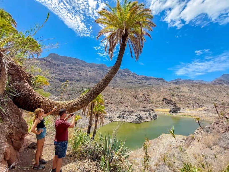 Gran Canaria: Red Gorge, Cave, Oasis Adventure Tour & Picnic - Temisas and the pleasure of slowing down