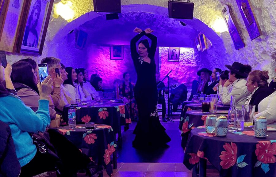 Granada: Flamenco Show in the Cave LA FARAONA - The cave makes the show feel close