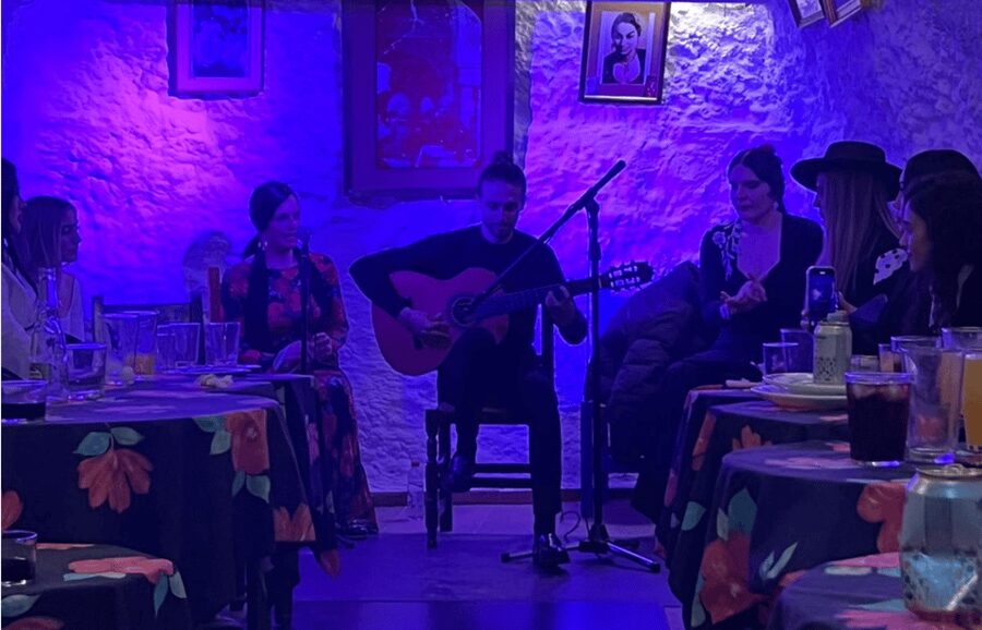 Granada: Flamenco Show in the Cave LA FARAONA - Getting to Cam. del Sacromonte, 53