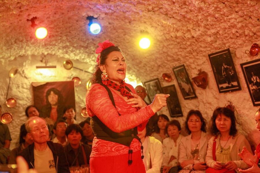 Granada: Sacromonte Caves Flamenco Show with Dinner - Should You Book the Sacromonte Cave Show?