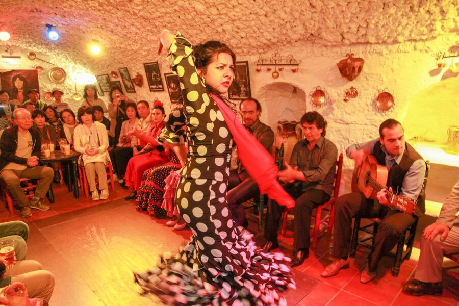 Granada: Sacromonte Caves Flamenco Show with Dinner - Flamenco Close Enough to Feel Personal