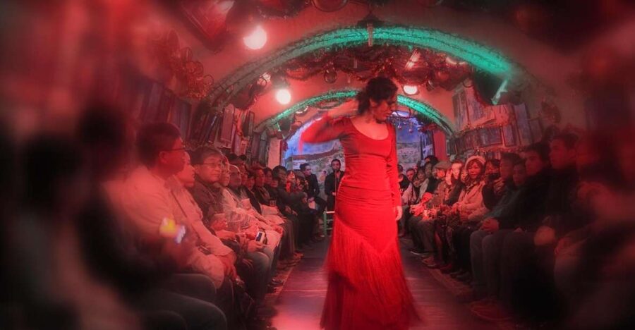 Granada: Sacromonte Caves Flamenco Show - The flamenco performance inside the cave