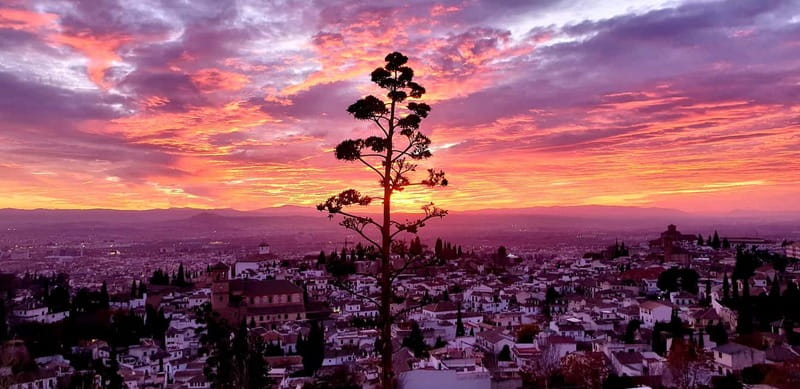 Granada: "Street Art & The Caves" Unique Guided Walking Tour - Sacromonte: cave homes and the roots of Flamenco culture