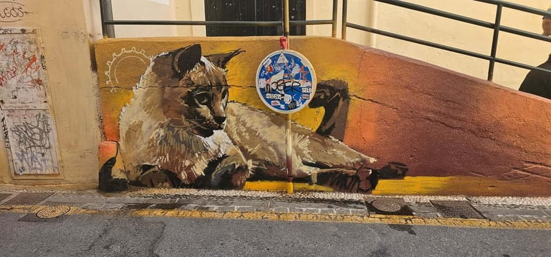 Granada: "Street Art & The Caves" Unique Guided Walking Tour - The cathedral finish and a practical route