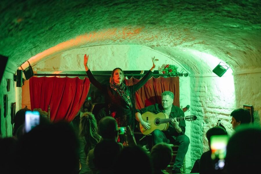 Granada: Traditional Flamenco Show in a Cave Entry Ticket - A cave beneath the Alhambra