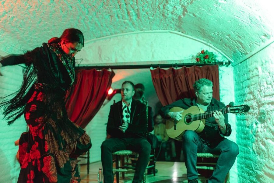 Granada: Traditional Flamenco Show in a Cave Entry Ticket - What happens during the one-hour show
