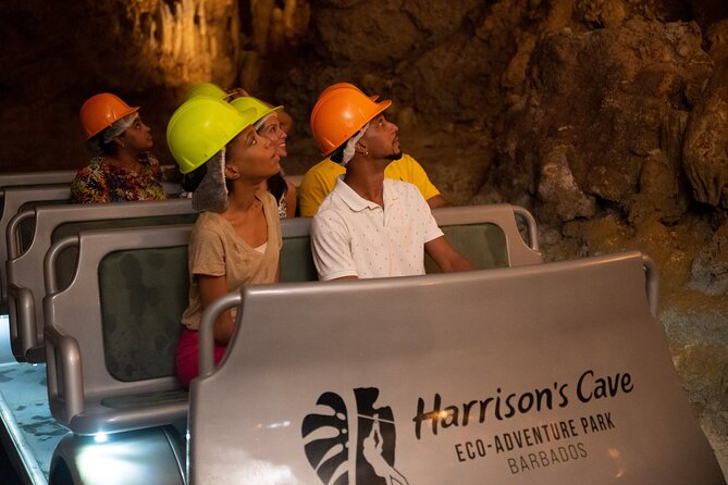 Gully Challenge Course & Cave Tour at Harrison's Cave by Chukka - Key points to know before you book