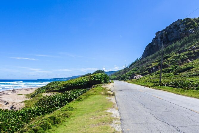 Half-Day Barbados Caves and Critters Tour with Pick Up - Harrison’s Cave by Electric Tram