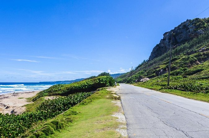 Half-Day Barbados Caves and Critters Tour with Pick Up - Guides Can Make or Break the Day